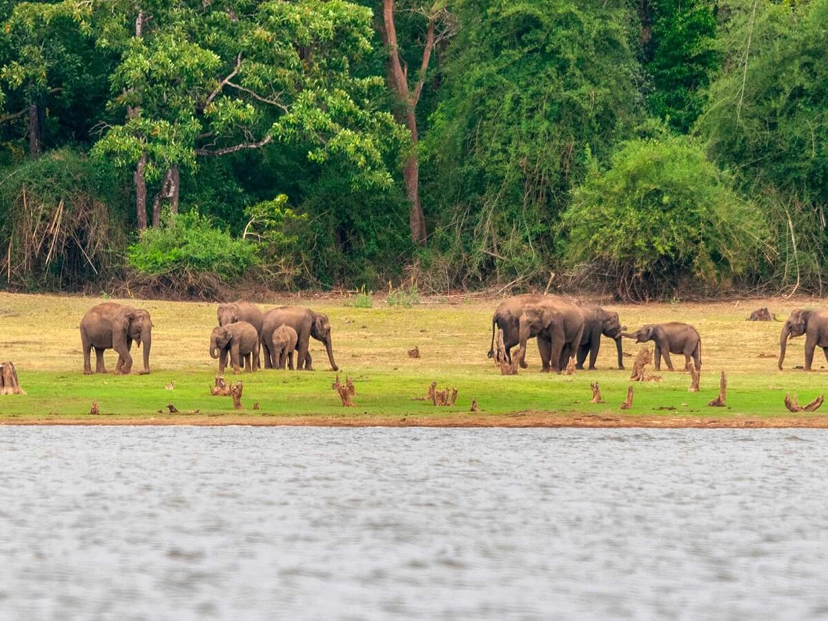 El Parque Nacional Nagarhole, Karnataka