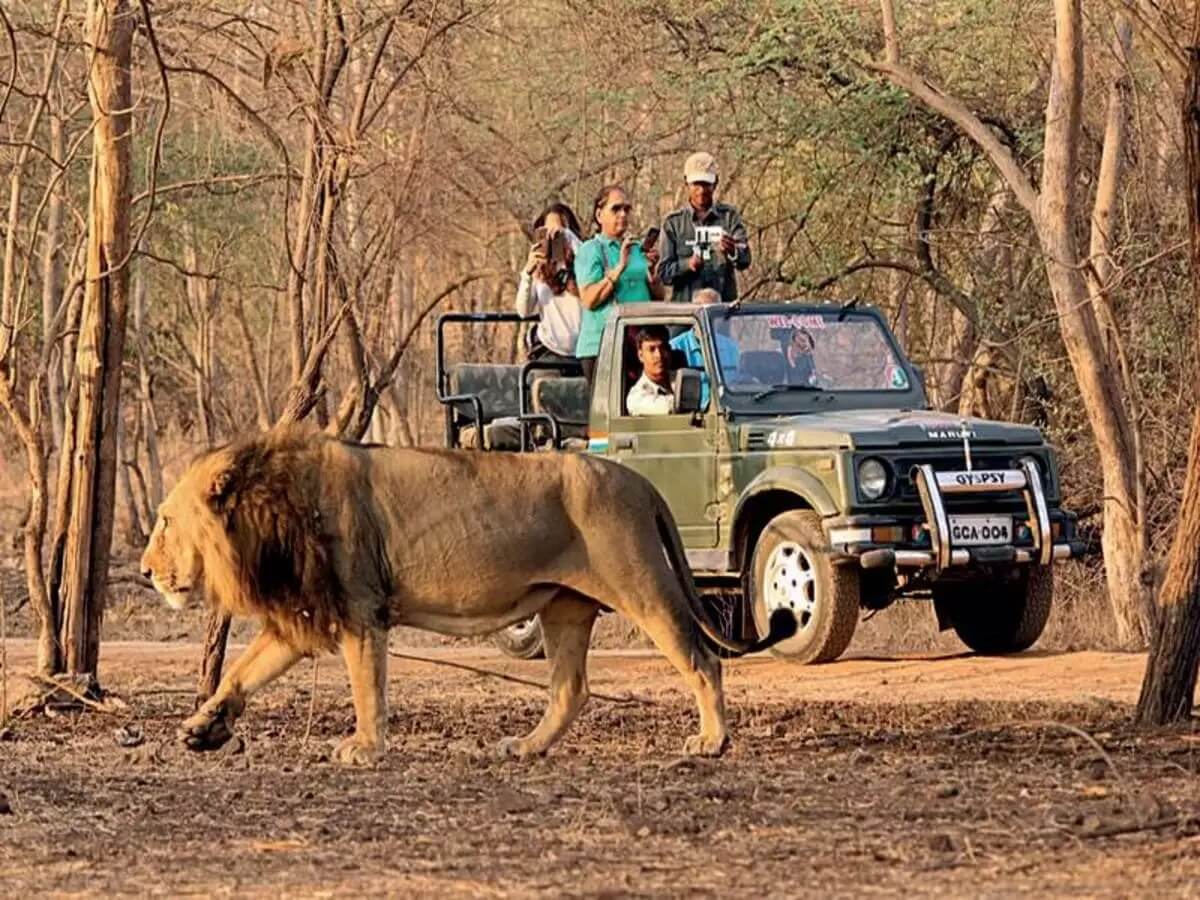 Parque Nacional de Gir, Gujarat