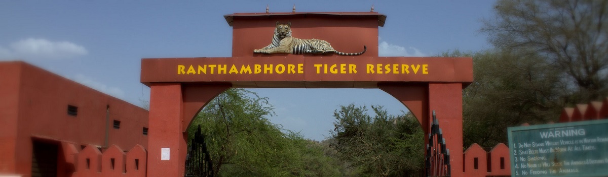 ¿Dónde alojarse en ranthambore