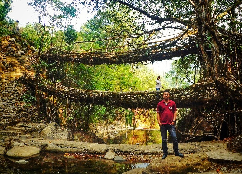 Puente de raíz viviente de doble decker, Cherrapunjee