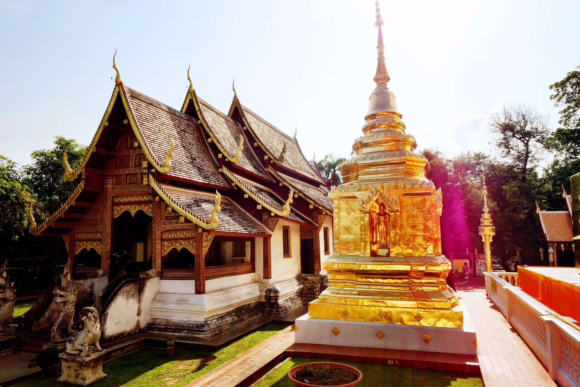  Temple of the Lion Buddha