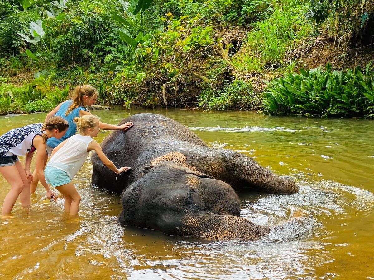 Millennium Elephant Foundation Sri Lanka