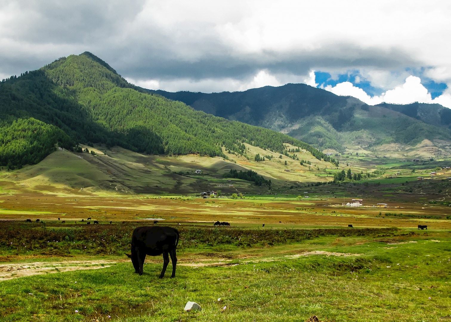 Phobjikha valley