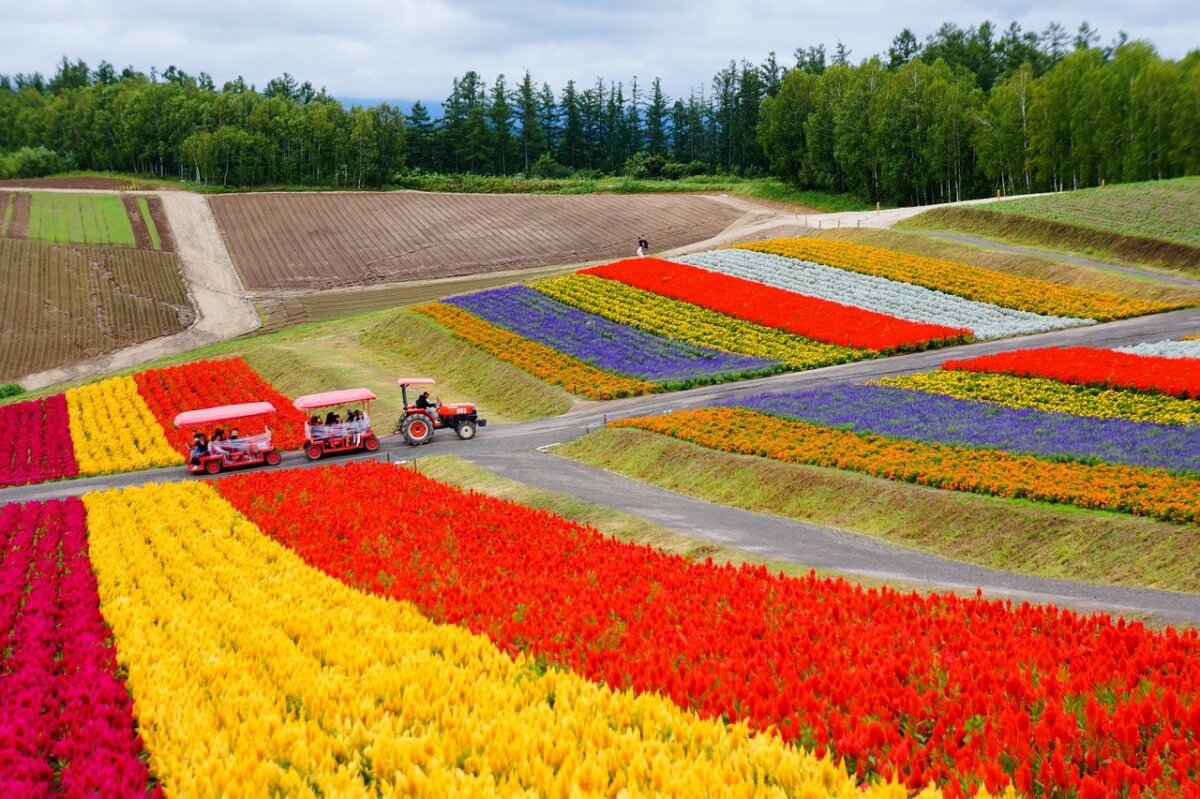 Hokkaido Japan