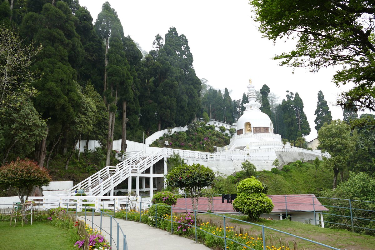  Darjeeling Peace Pagoda 