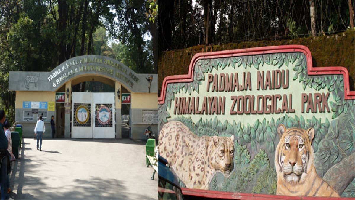 Darjeeling Zoo