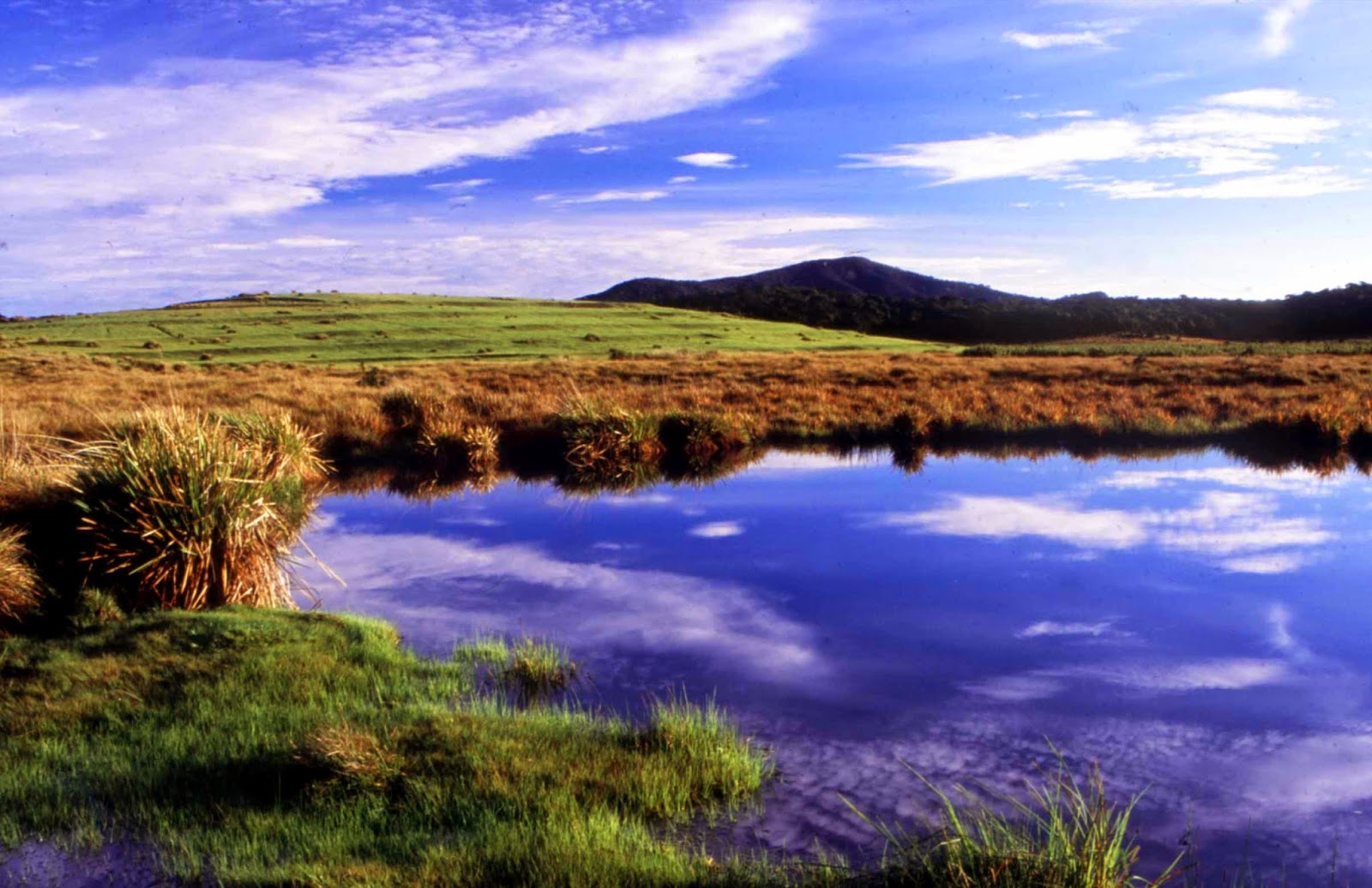 Horton Plains National Park