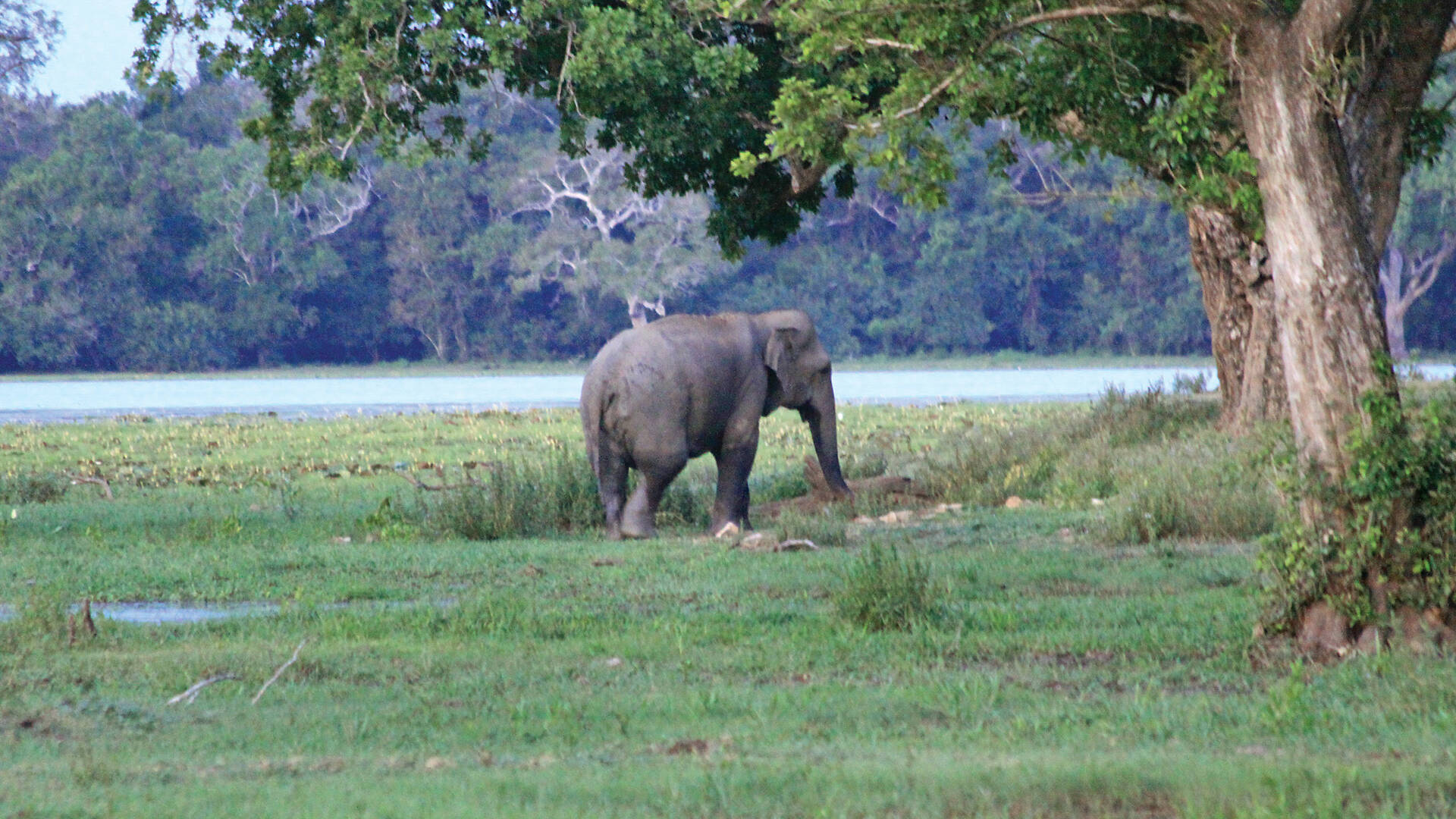 Lahugala Kithulana National Park