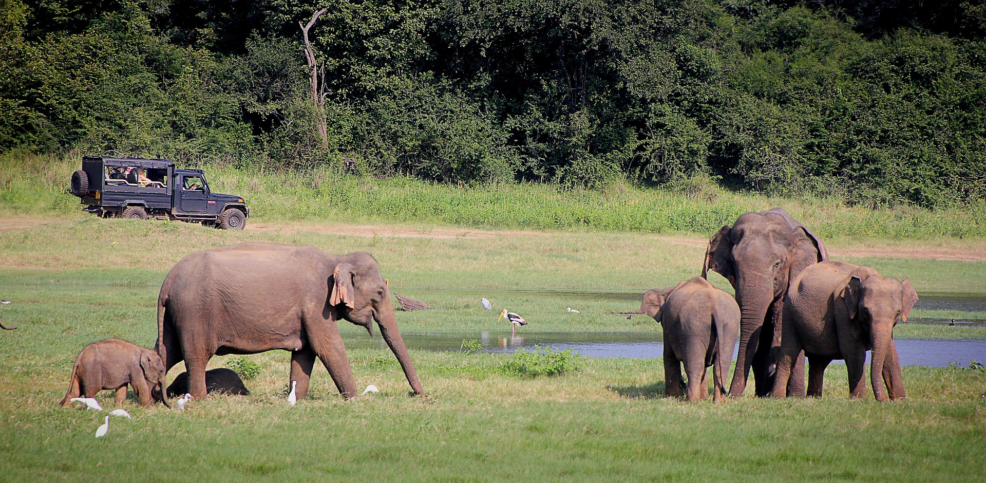 Maduru Oya National Park