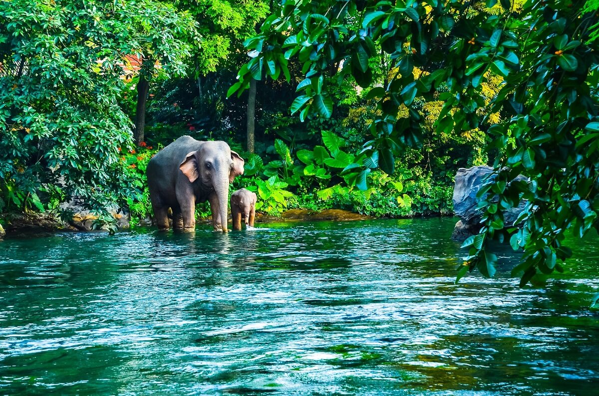 Khao Yai National Park, Thailand