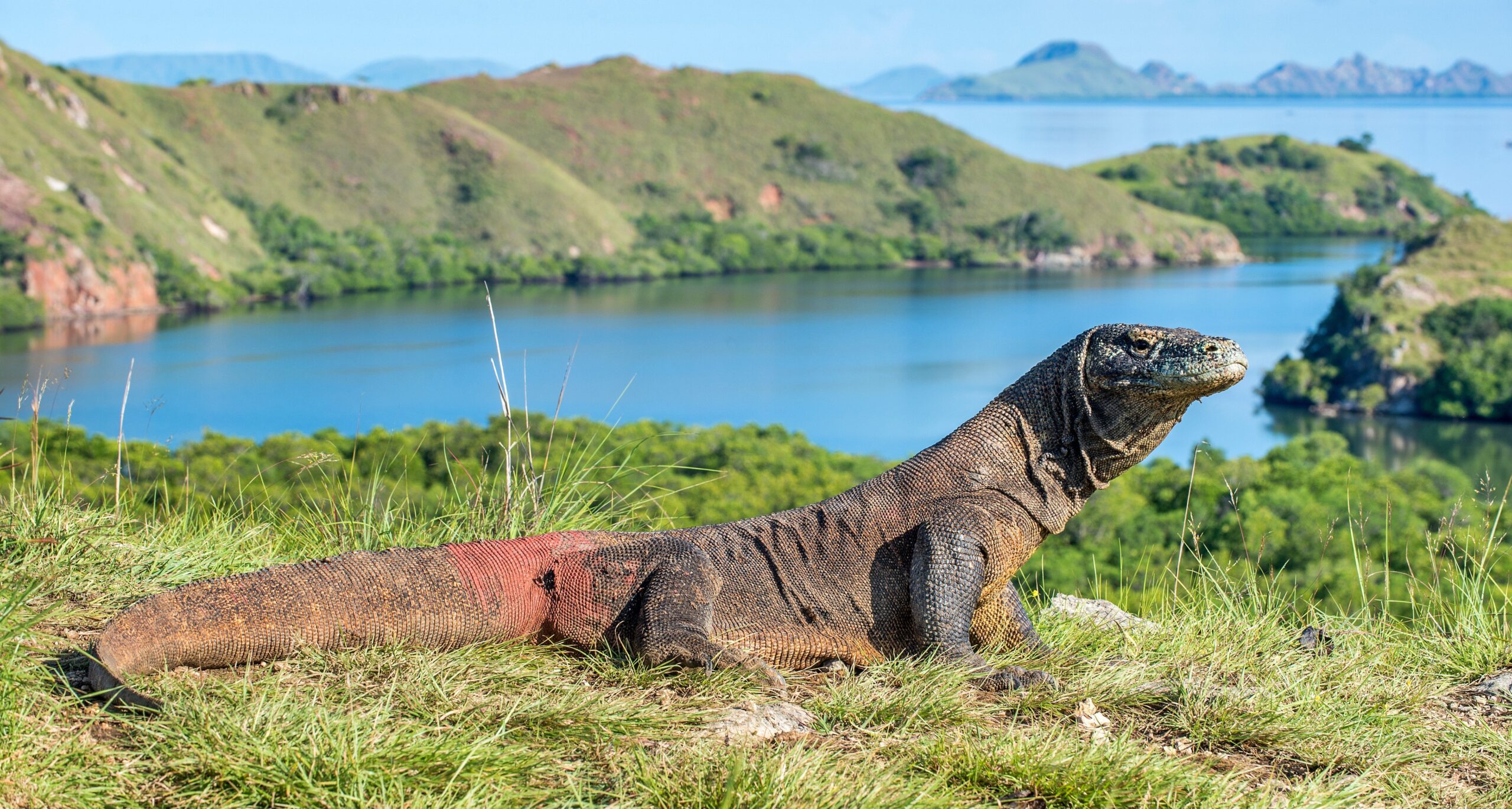 Bali Komodo National Park