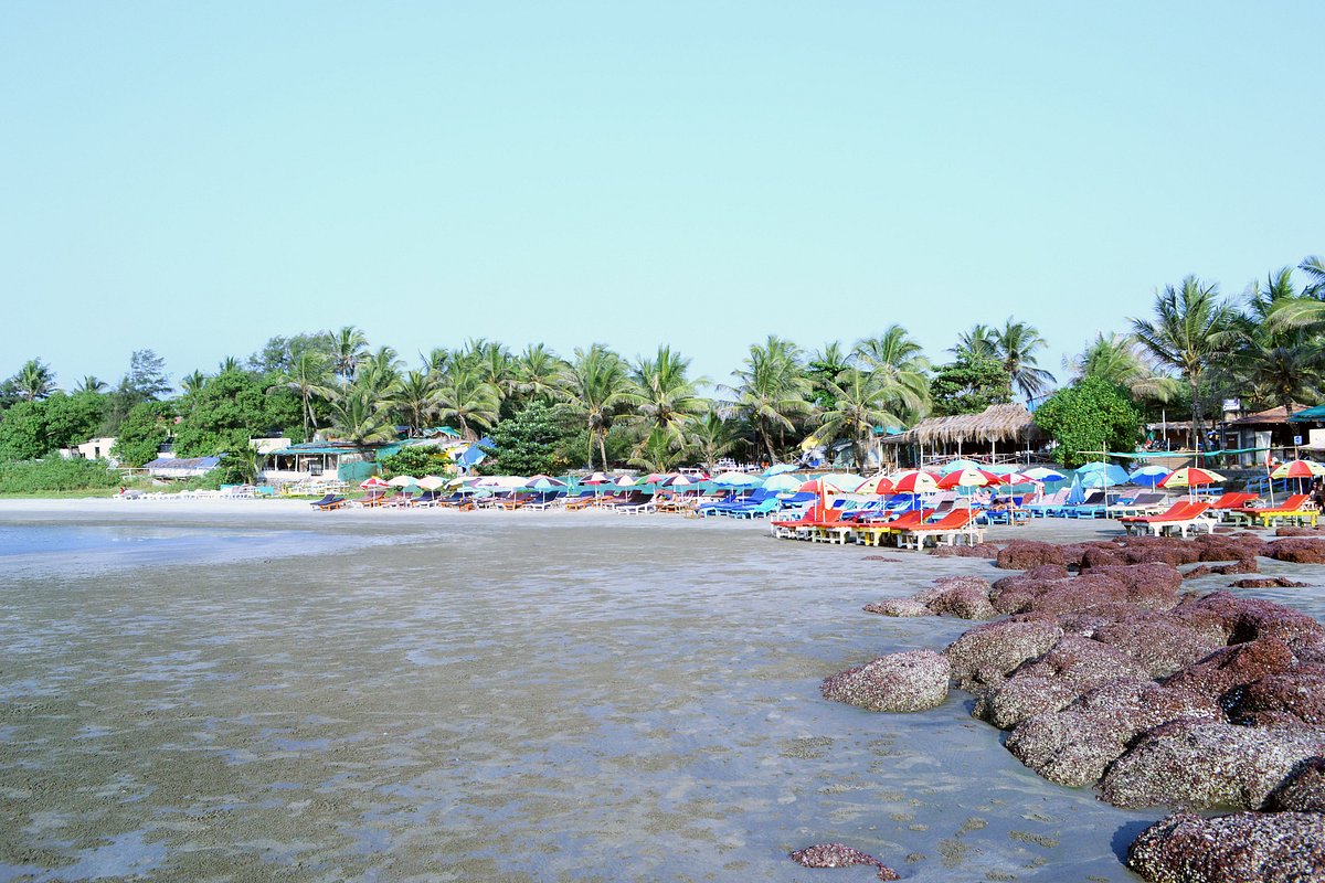 Goa Ashvem beach