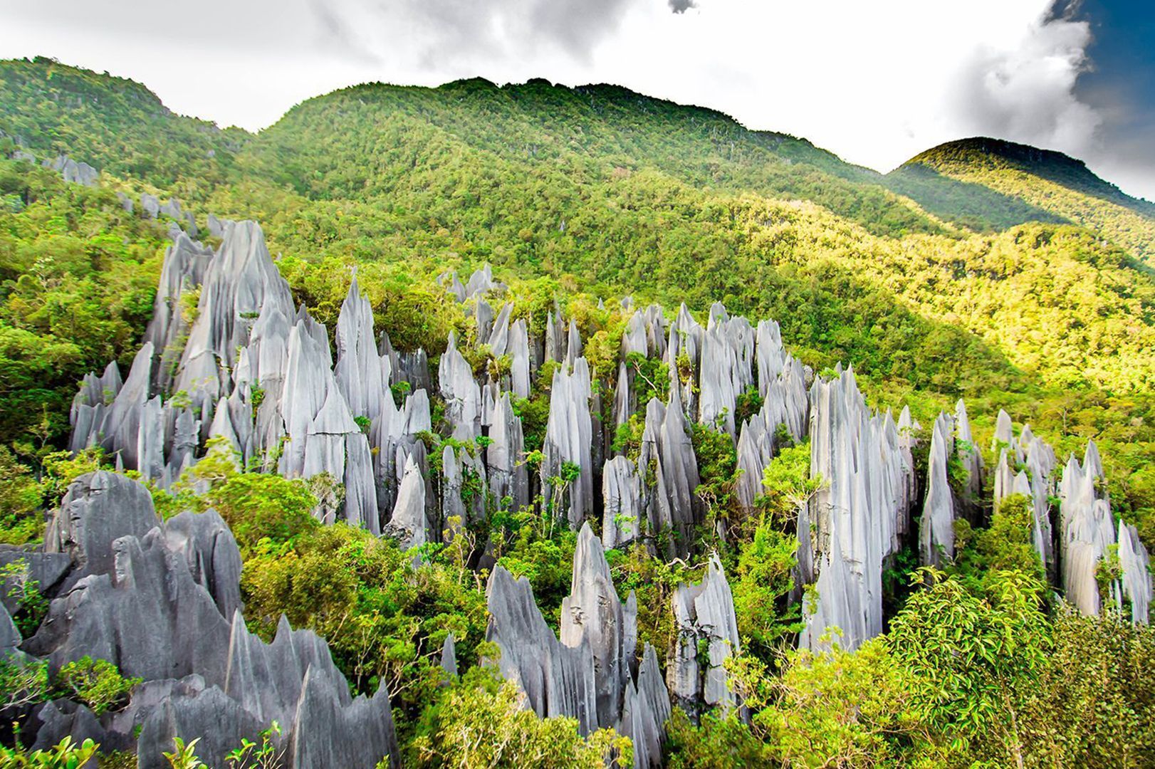 Parque Nacional Gunung Mulu in malaysia