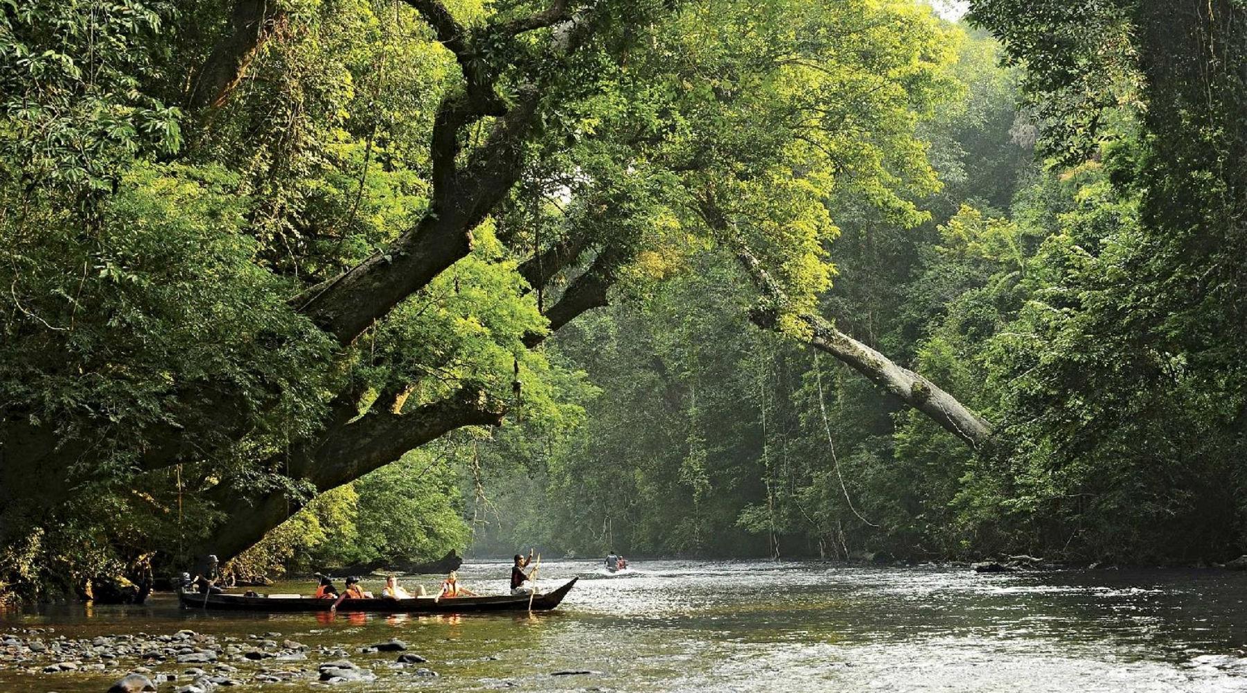 Parque Nacional Taman Negara in Malaysia