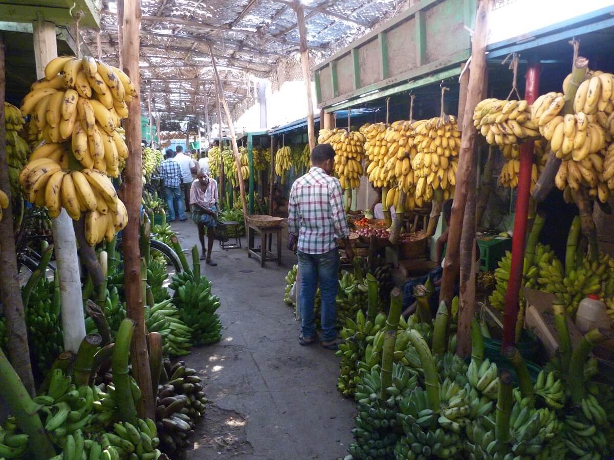 Visite el mercado Banano