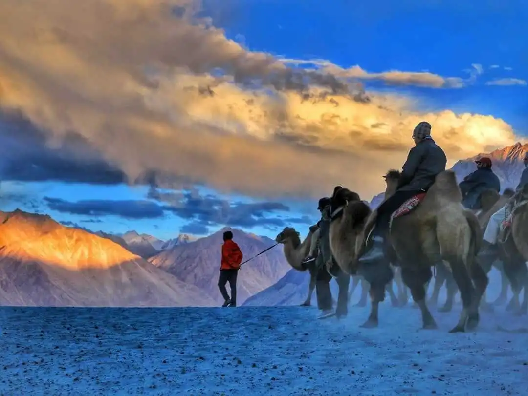 Nubra Valley