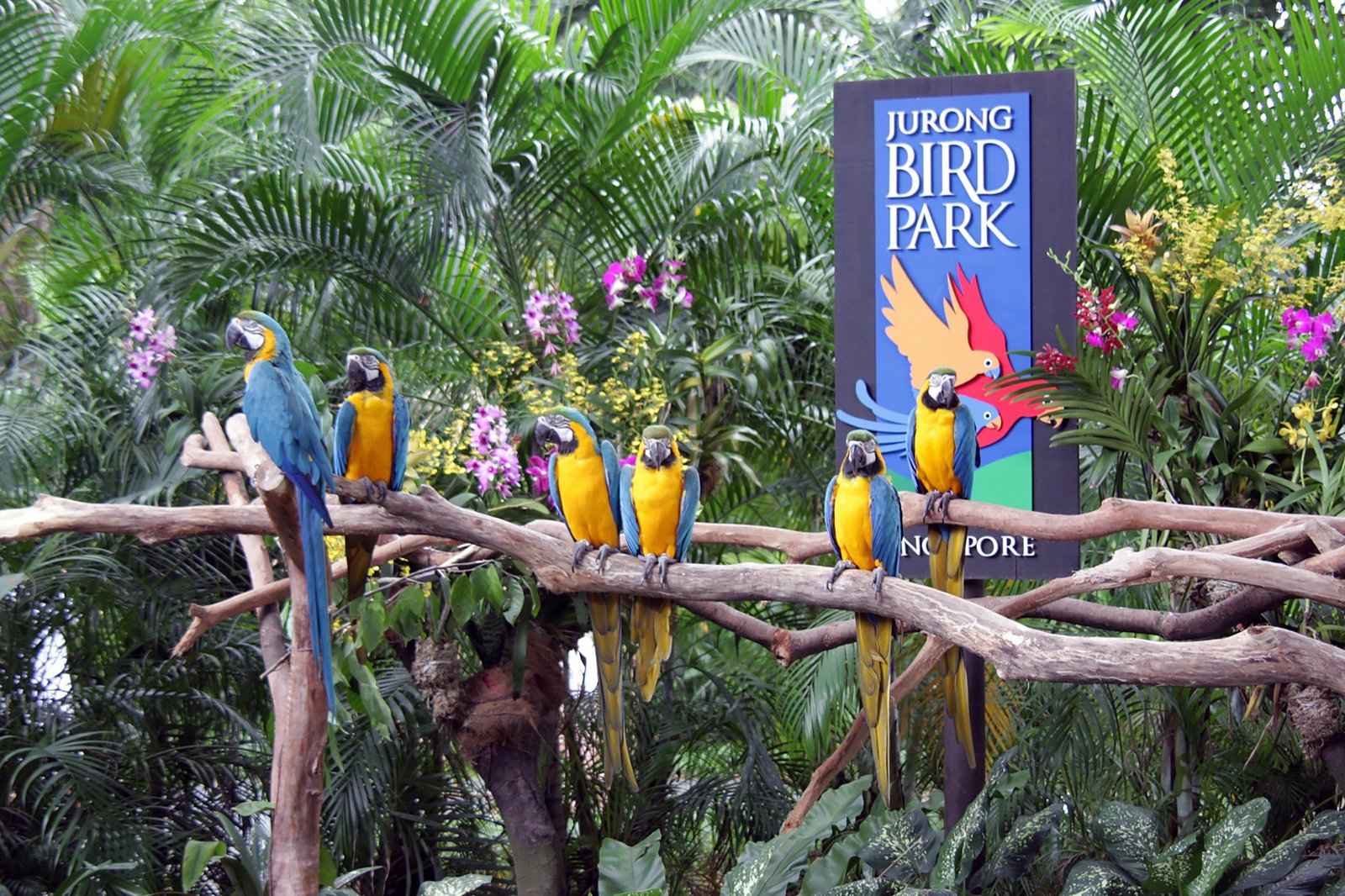 Singapore Jurong Bird Park