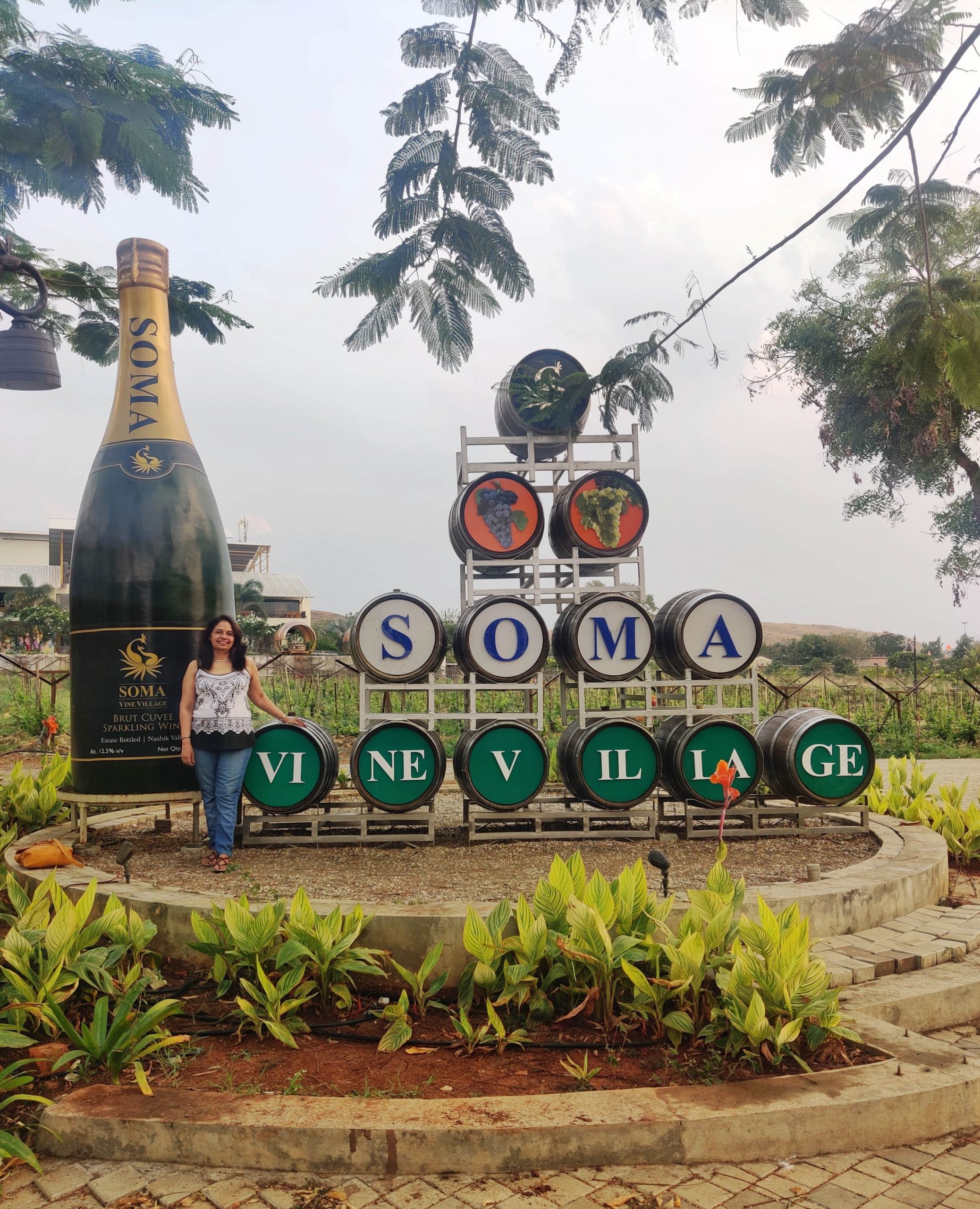 Soma Vine Village 