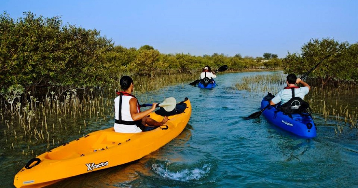 water sports at Mangroves Marina