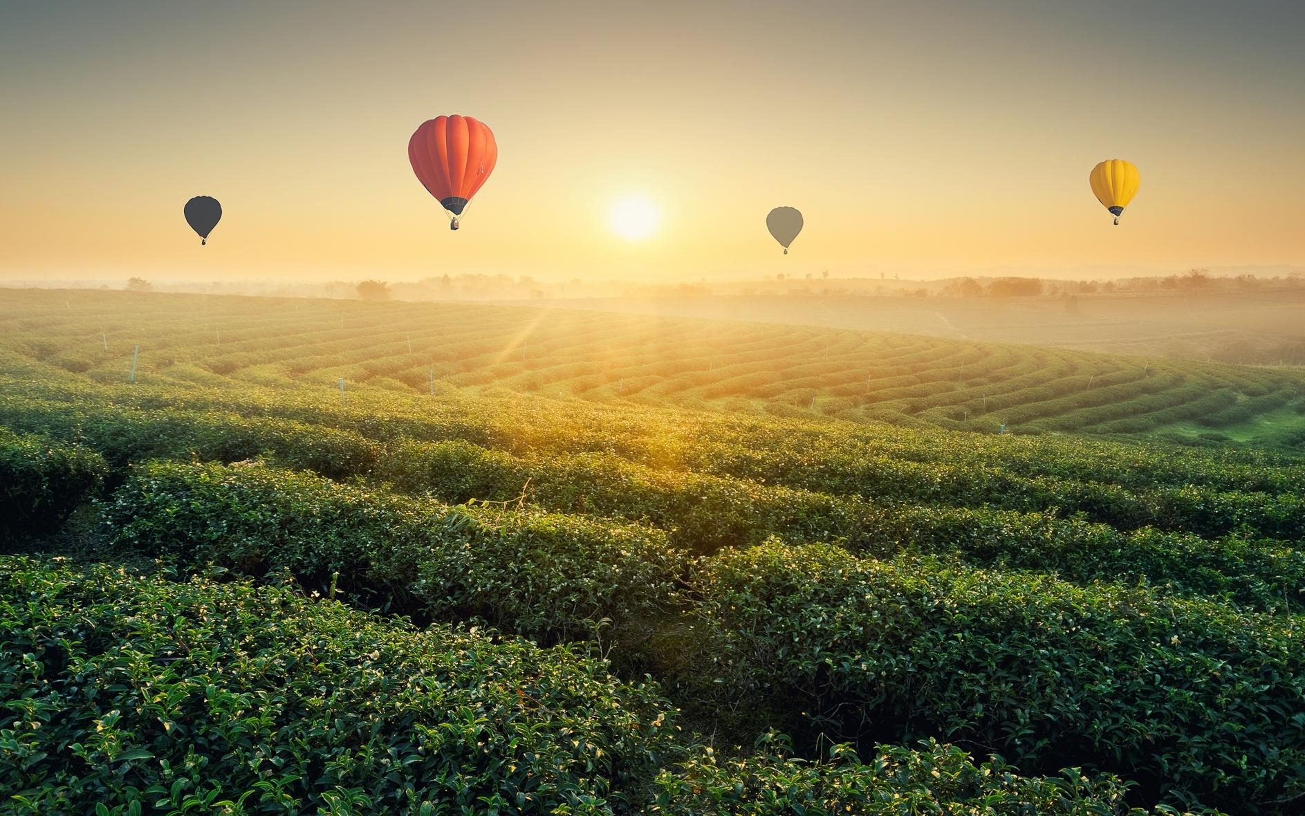 Kamshet, Lonavala Hot Air Balloon Rides