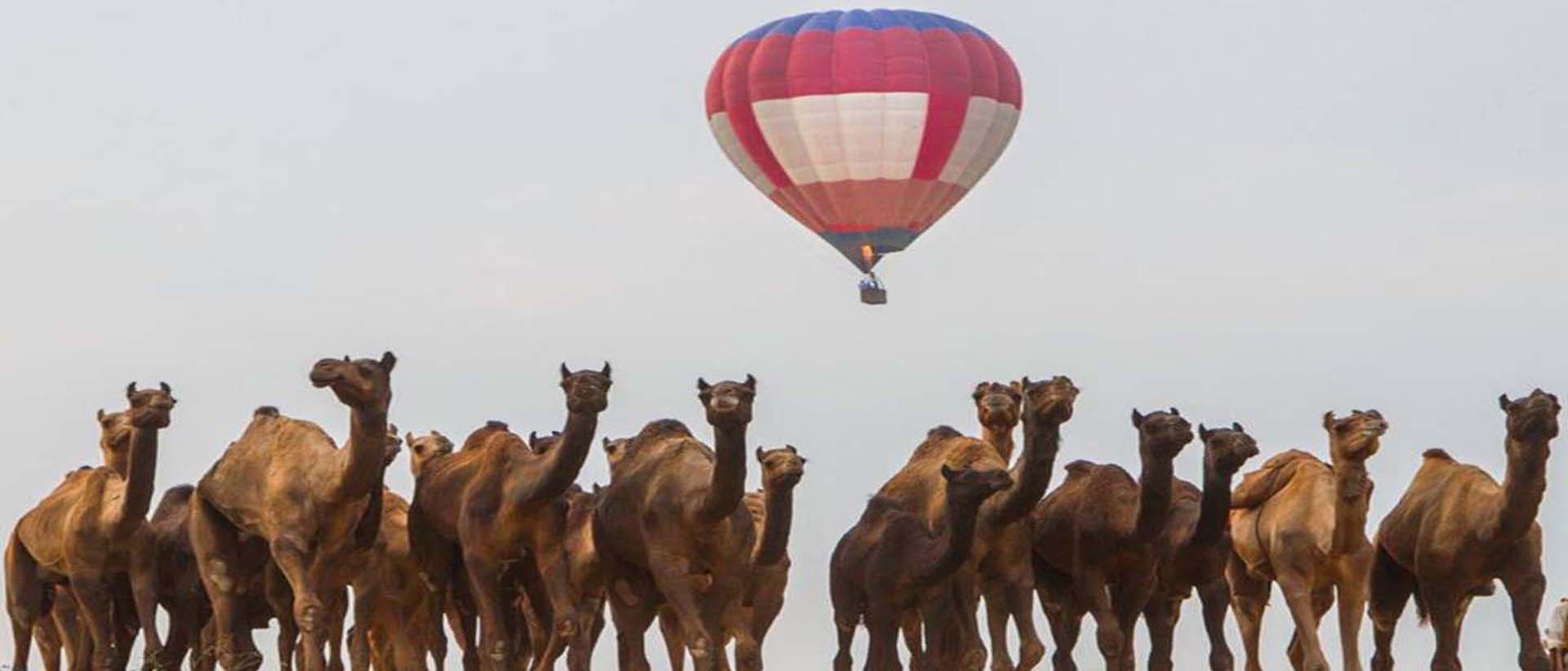 Pushkar fair Hot Air Balloon Rides