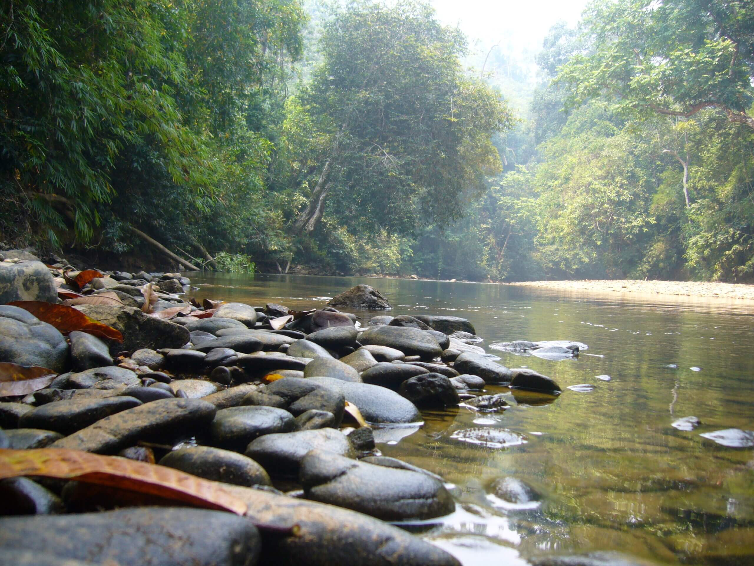 Batang Ai National Park