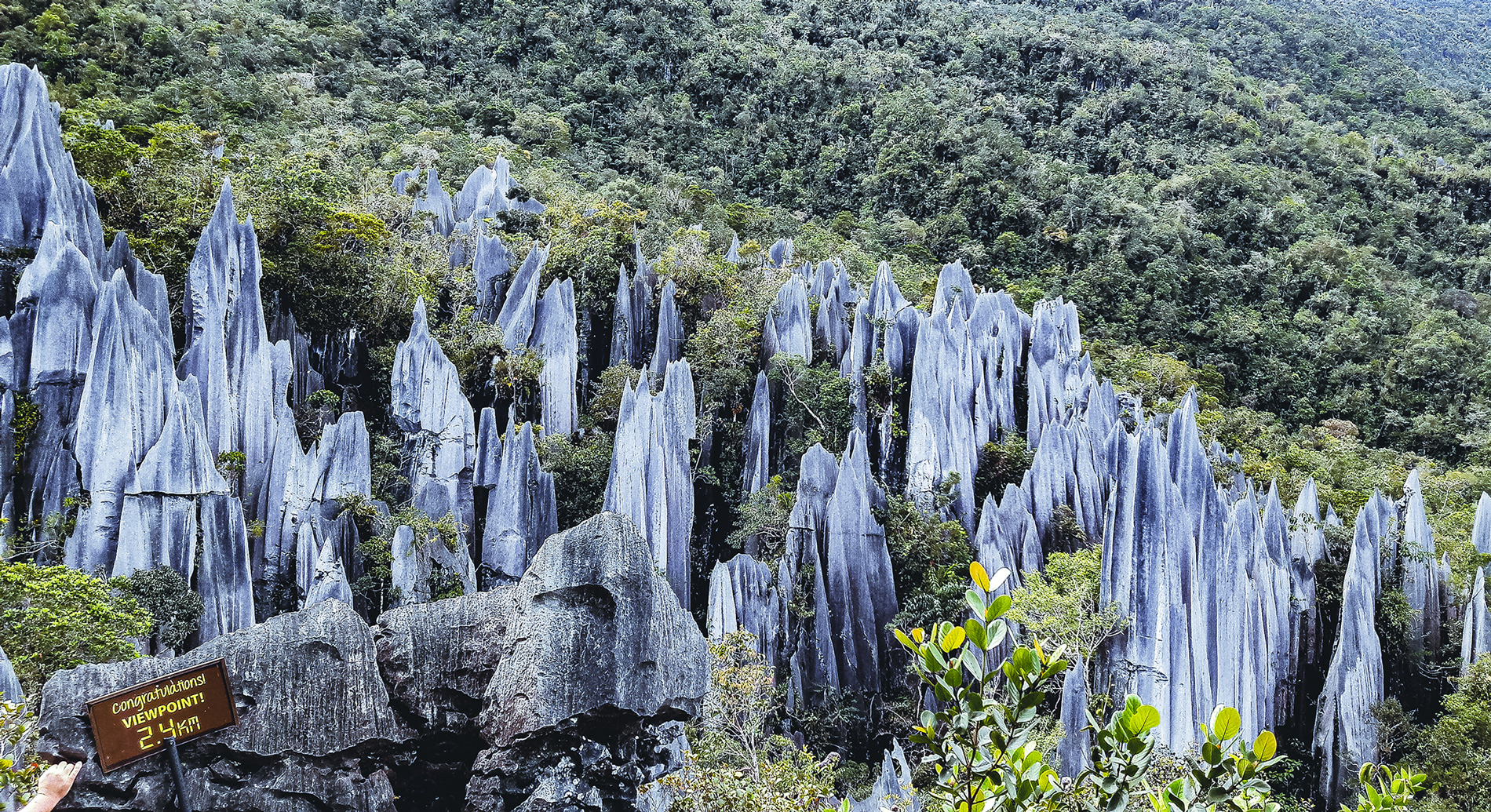 Gunung Mulu National Park