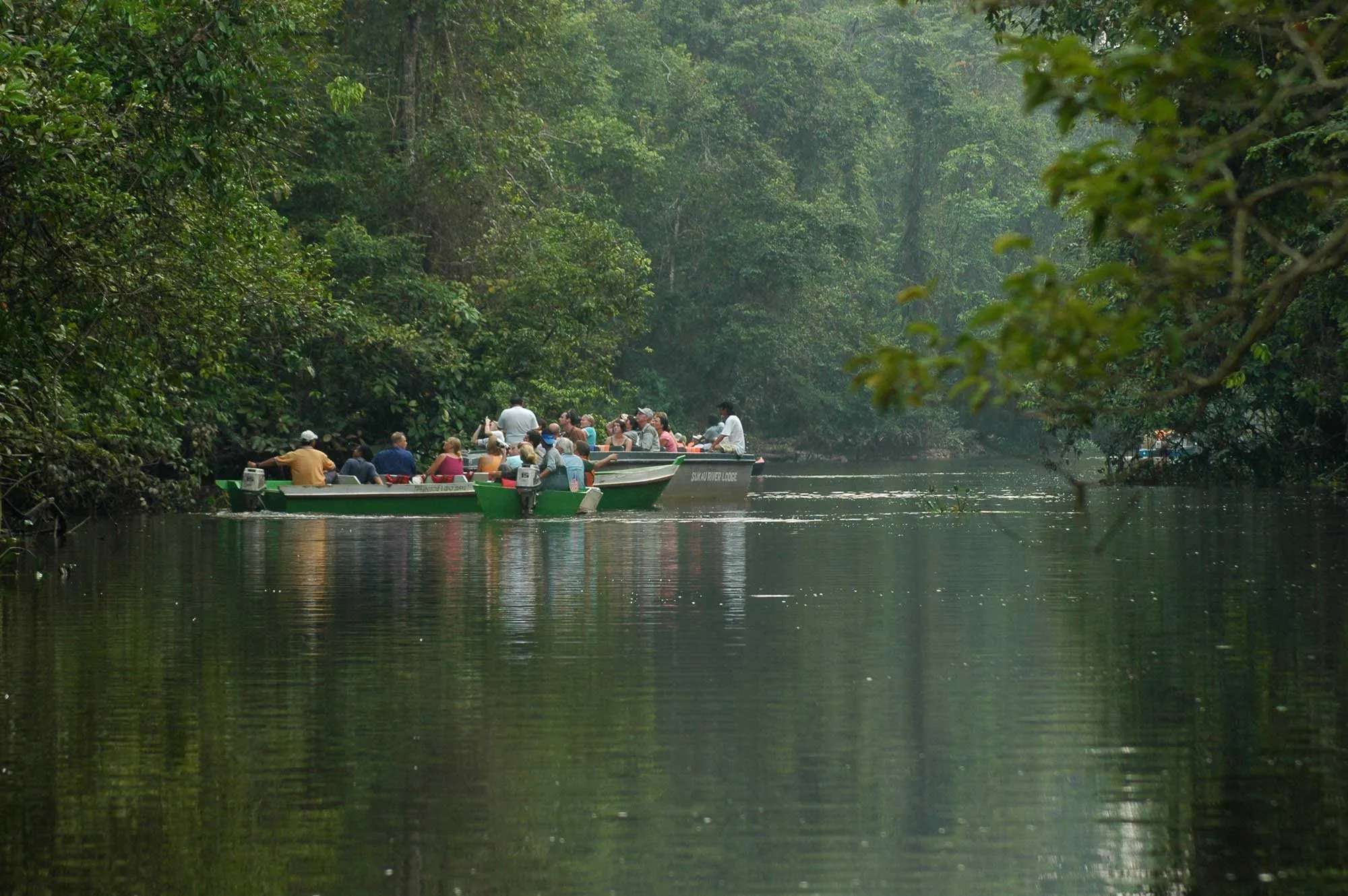 Kinabatangan River