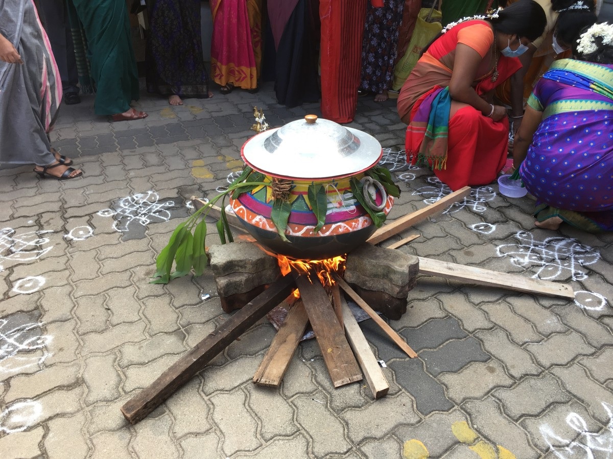 Pongal Tailandés