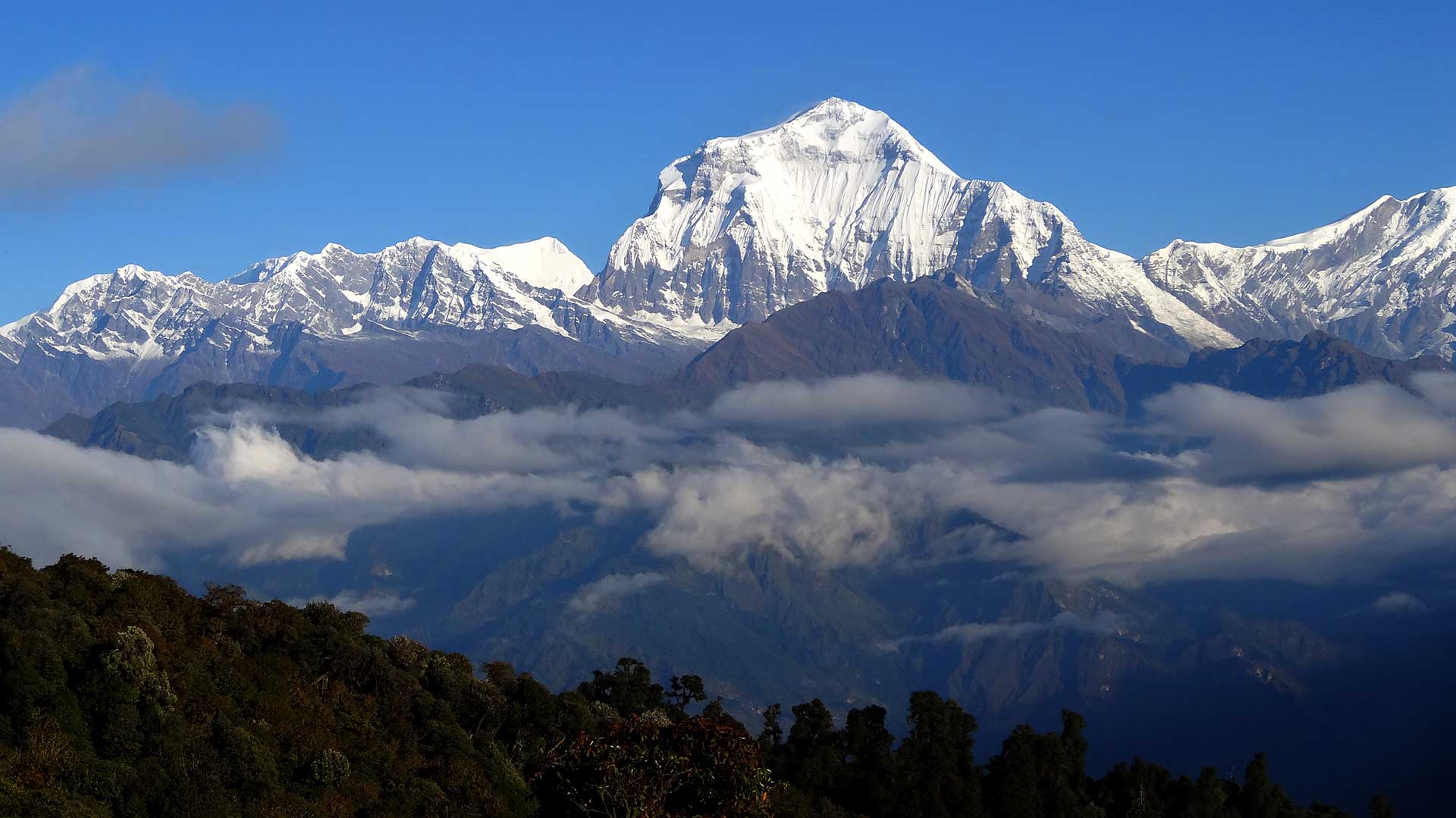 Dhaulagiri (8,167 m)