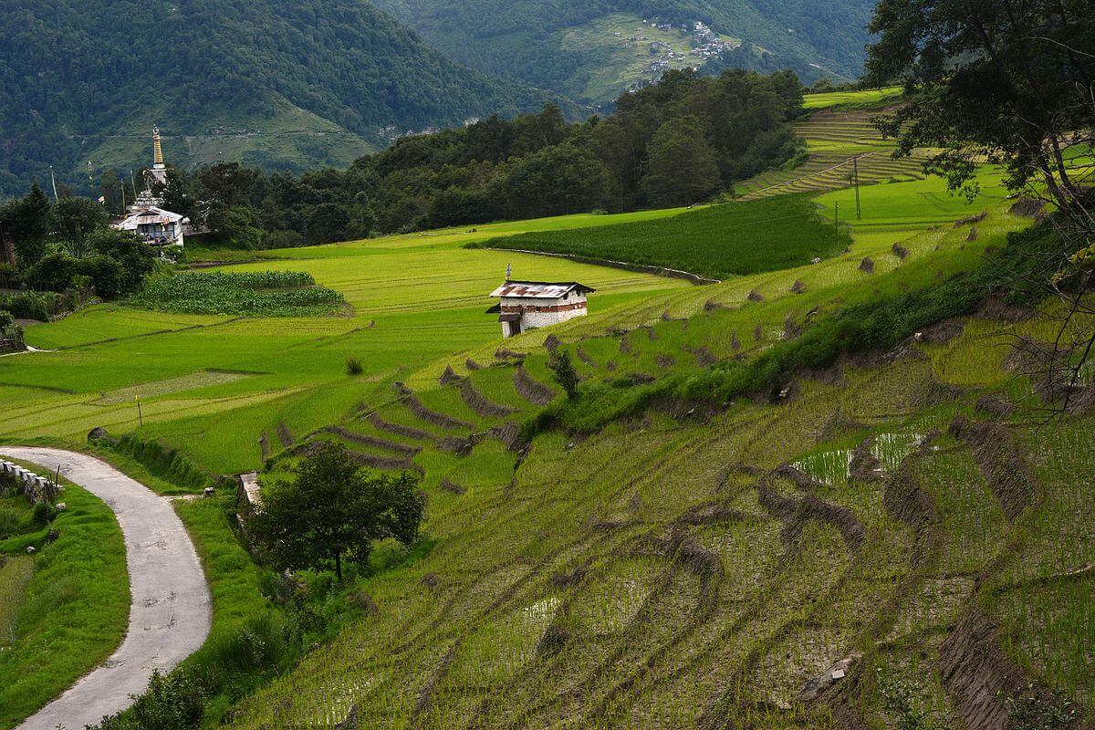 Ziro Arunachal Pradesh