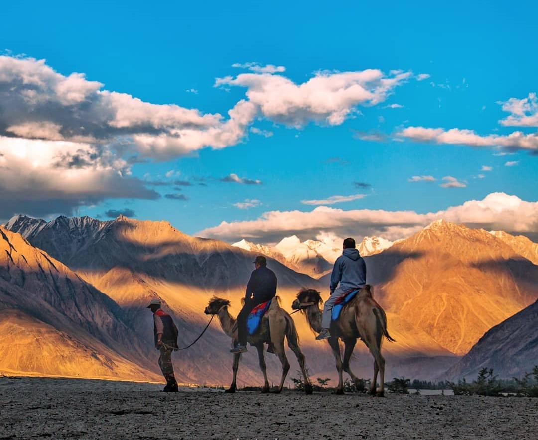 Camel Safari in Nubra Valley, Ladakh