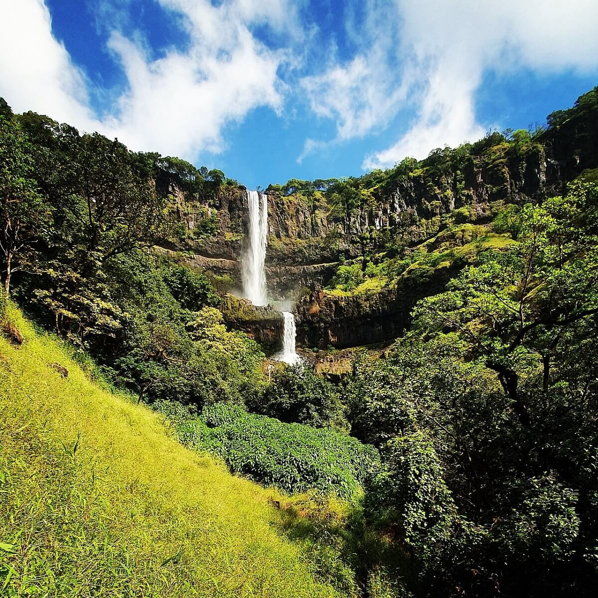 Cataratas Vajrai, Maharashtra