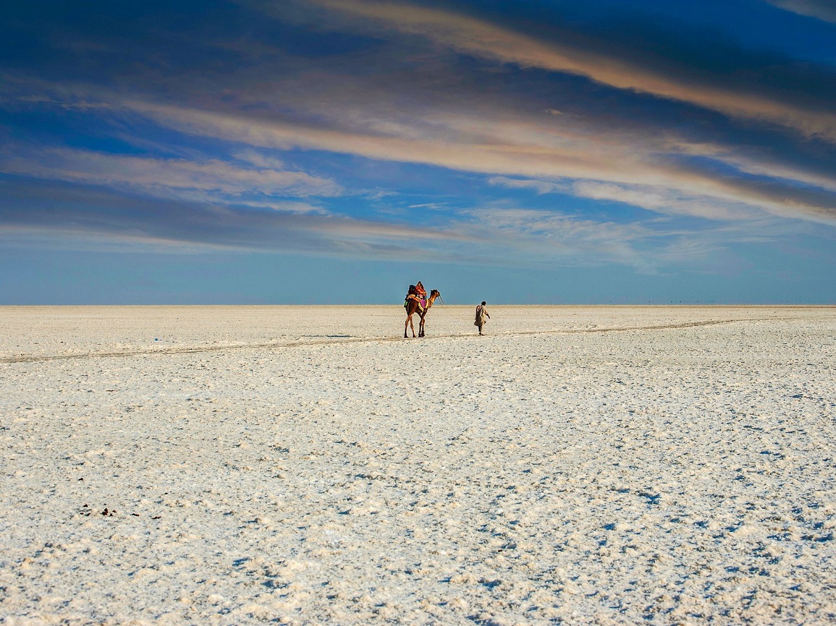 Rann de Kutch, Gujarat