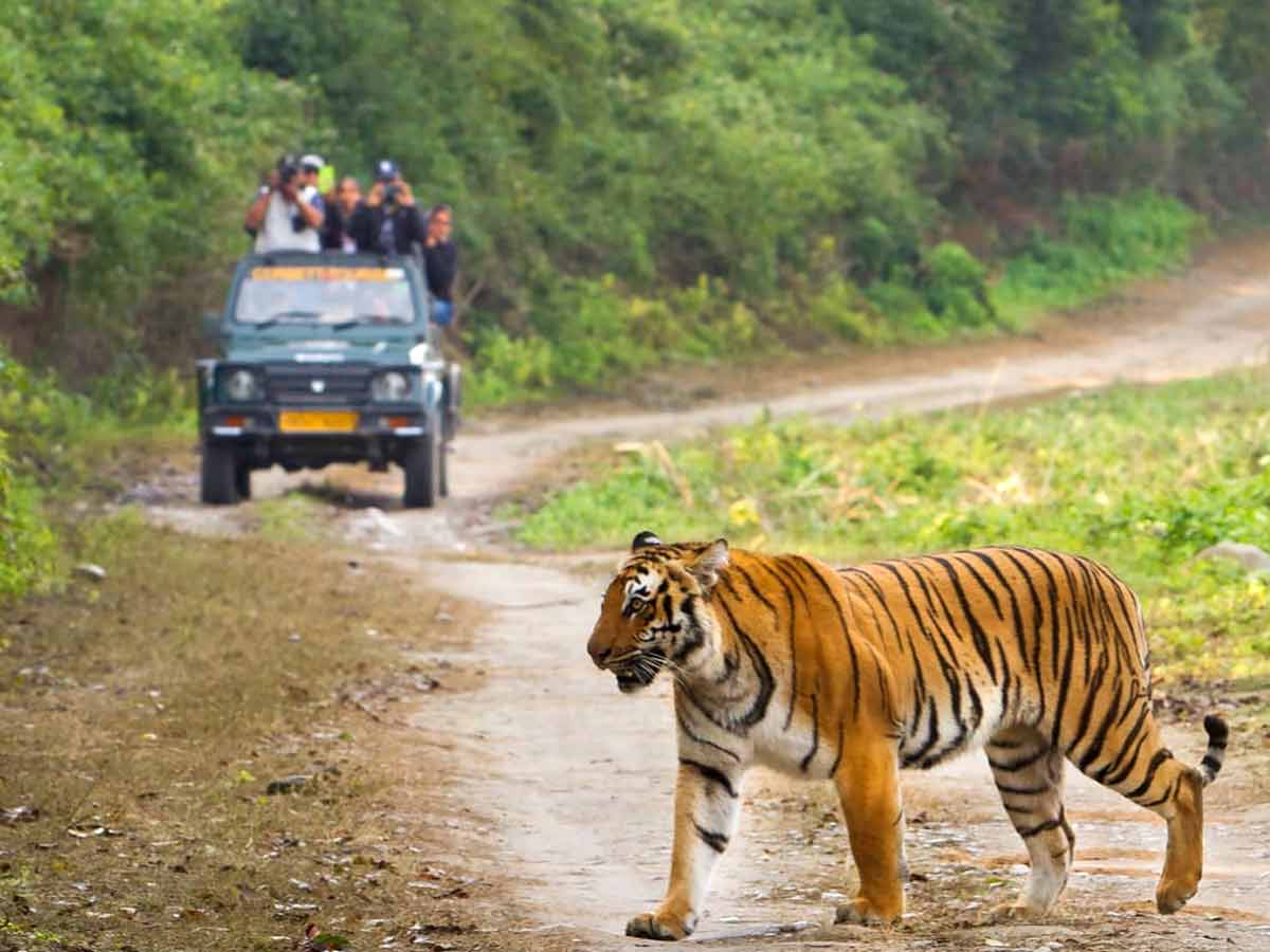 El Parque Nacional Jim Corbett, Uttarakhand