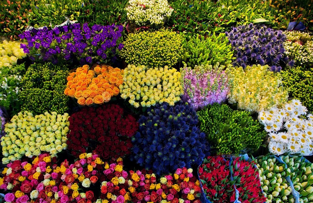 Dadar Flower Market