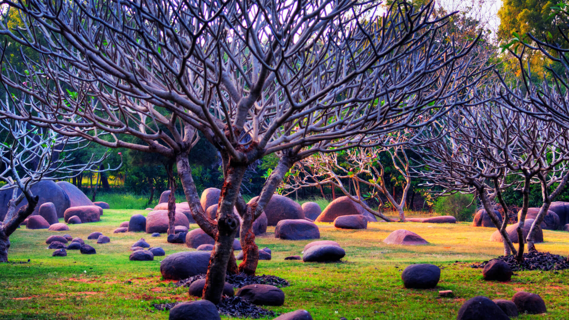 Auroville