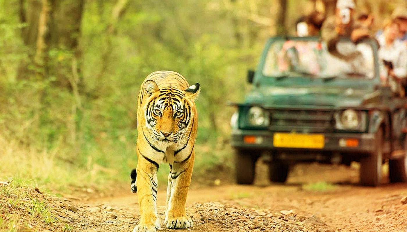 Haridwar Chilla Wildlife Sanctuary