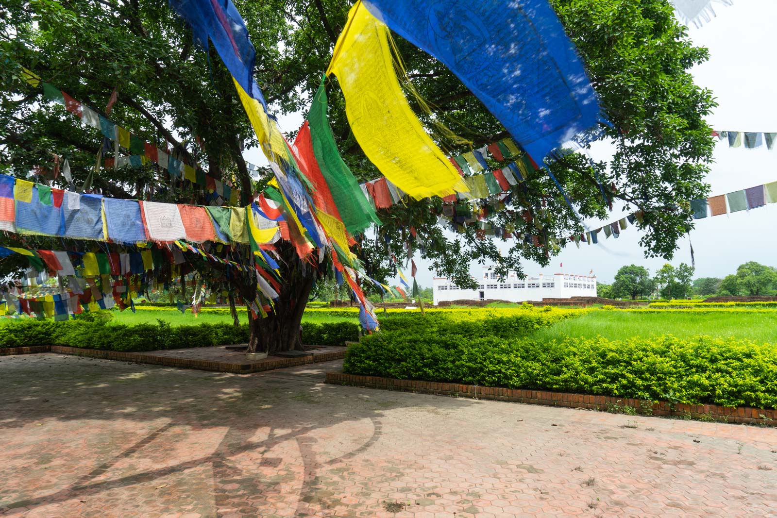  Lumbini The Sacred Garden