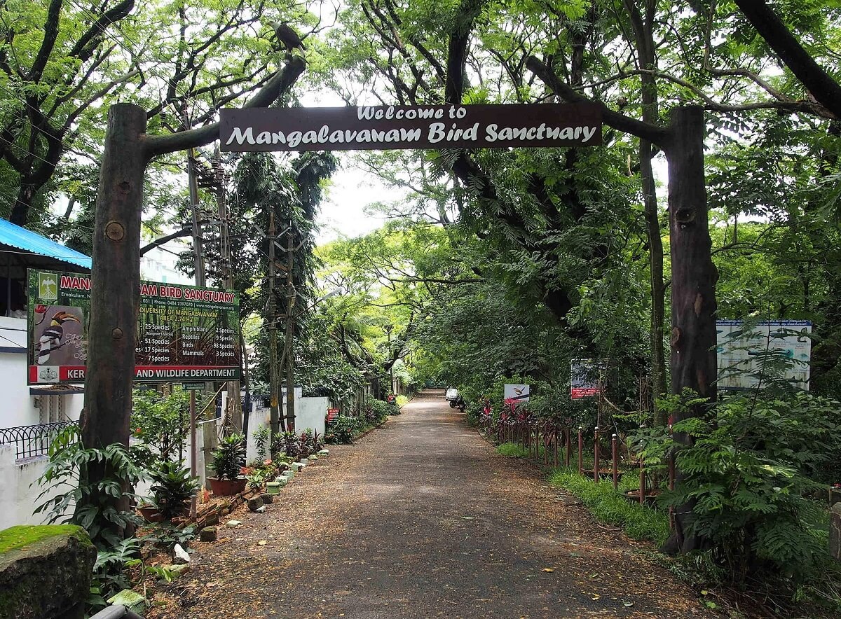 Mangalavanam-Bird-Sanctuary-Kochi-Kerala