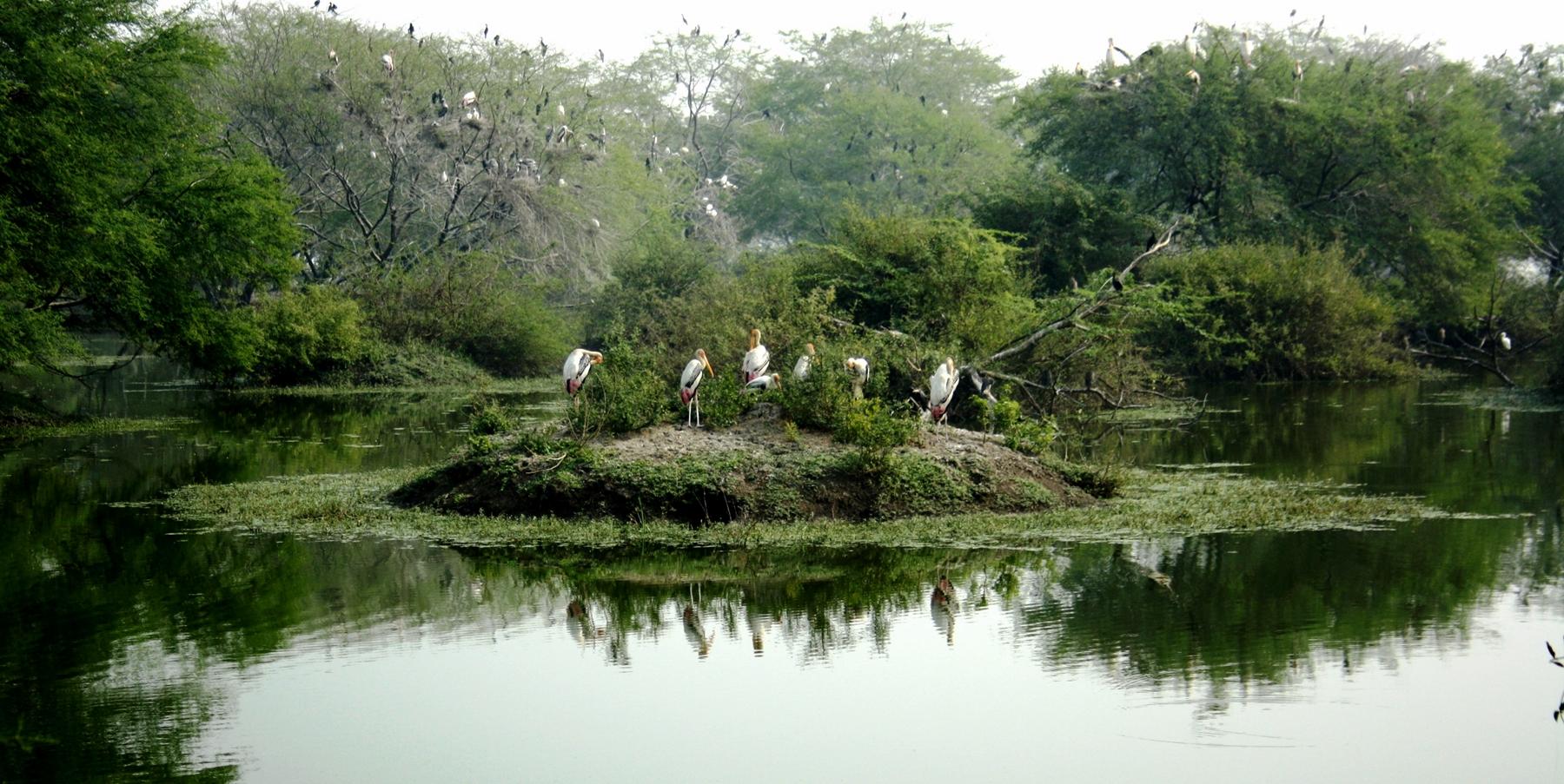 Peppara Bird Sanctuary