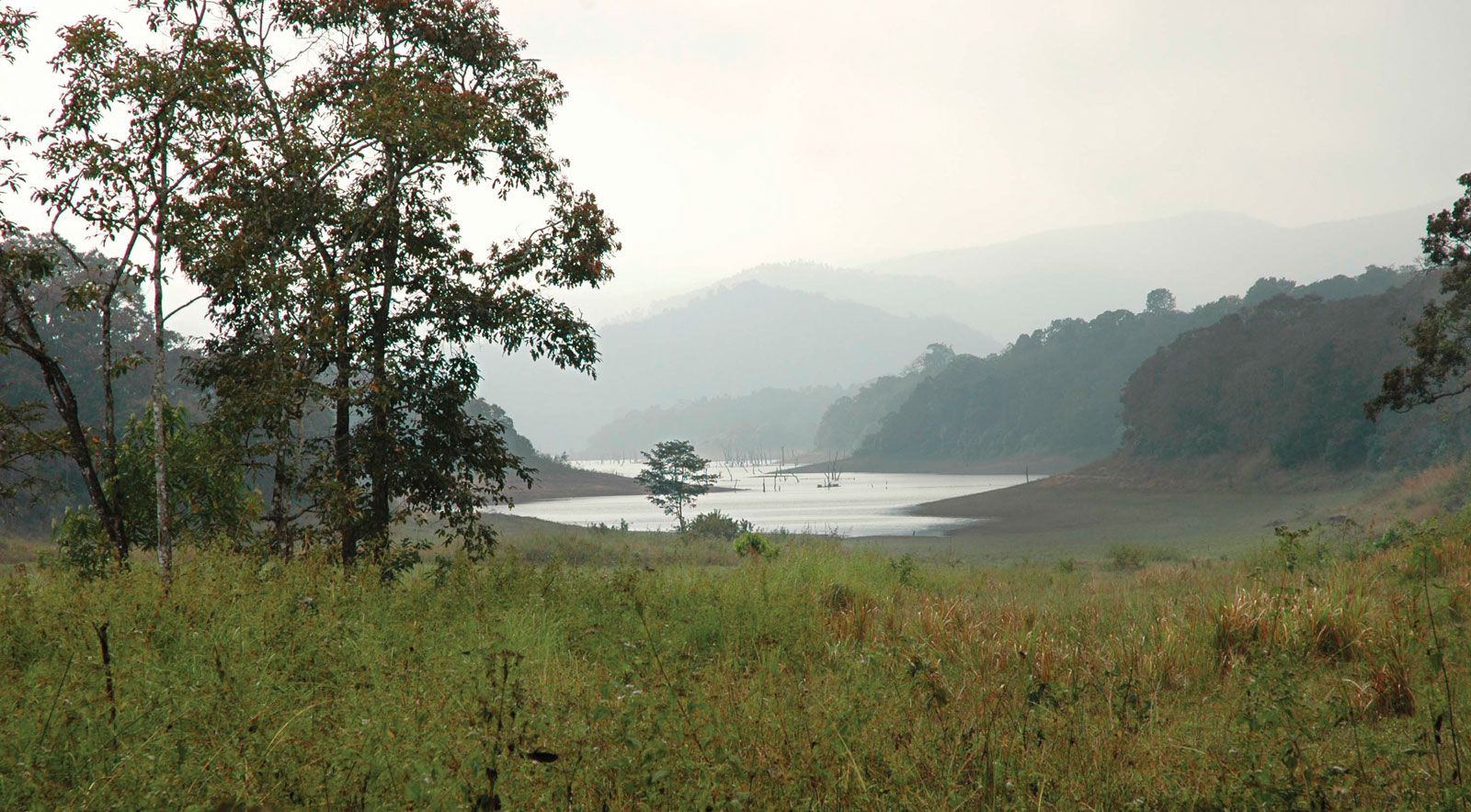 Periyar Bird Sanctuary