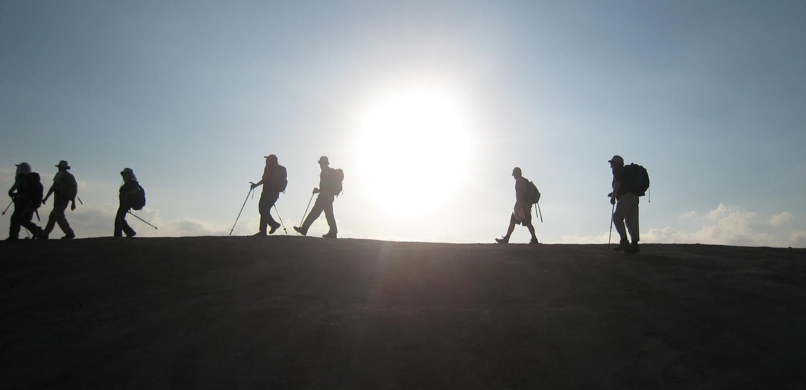 Trek in Ranakpur Forests