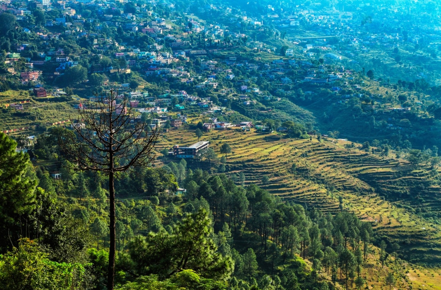 Ranikhet Uttarakhand norte de la India