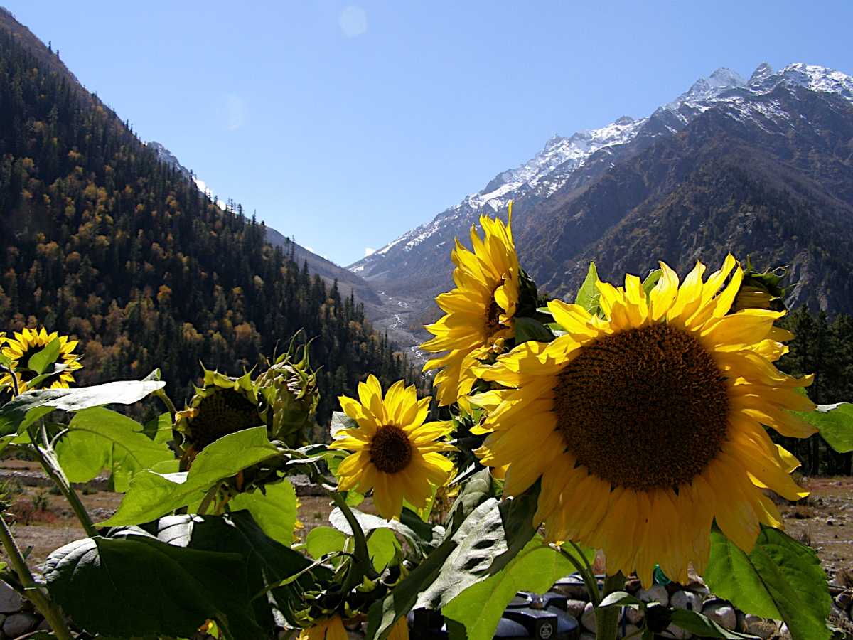 Spiti Valley