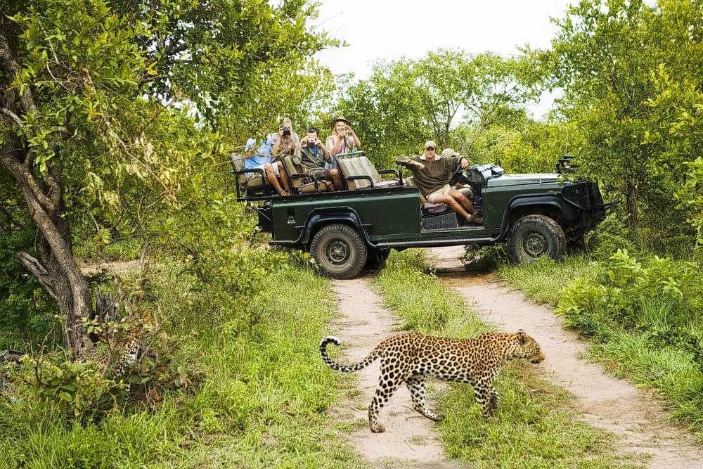 Wildlife Jeep Safari