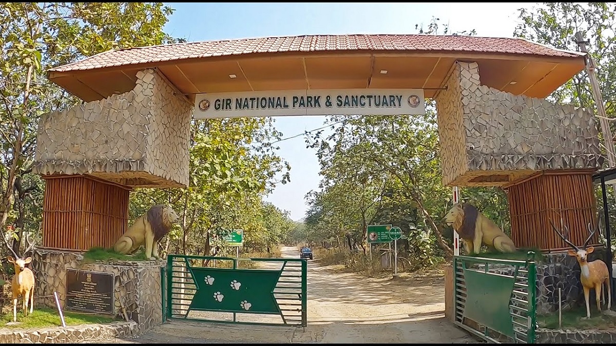 Gir, Gujarat National Park, Karnataka