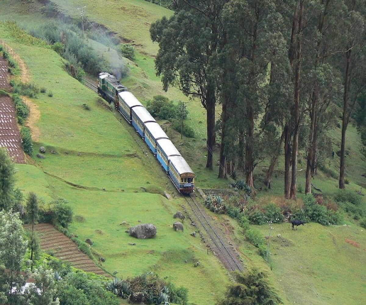 Ooty, Tamil Nadu