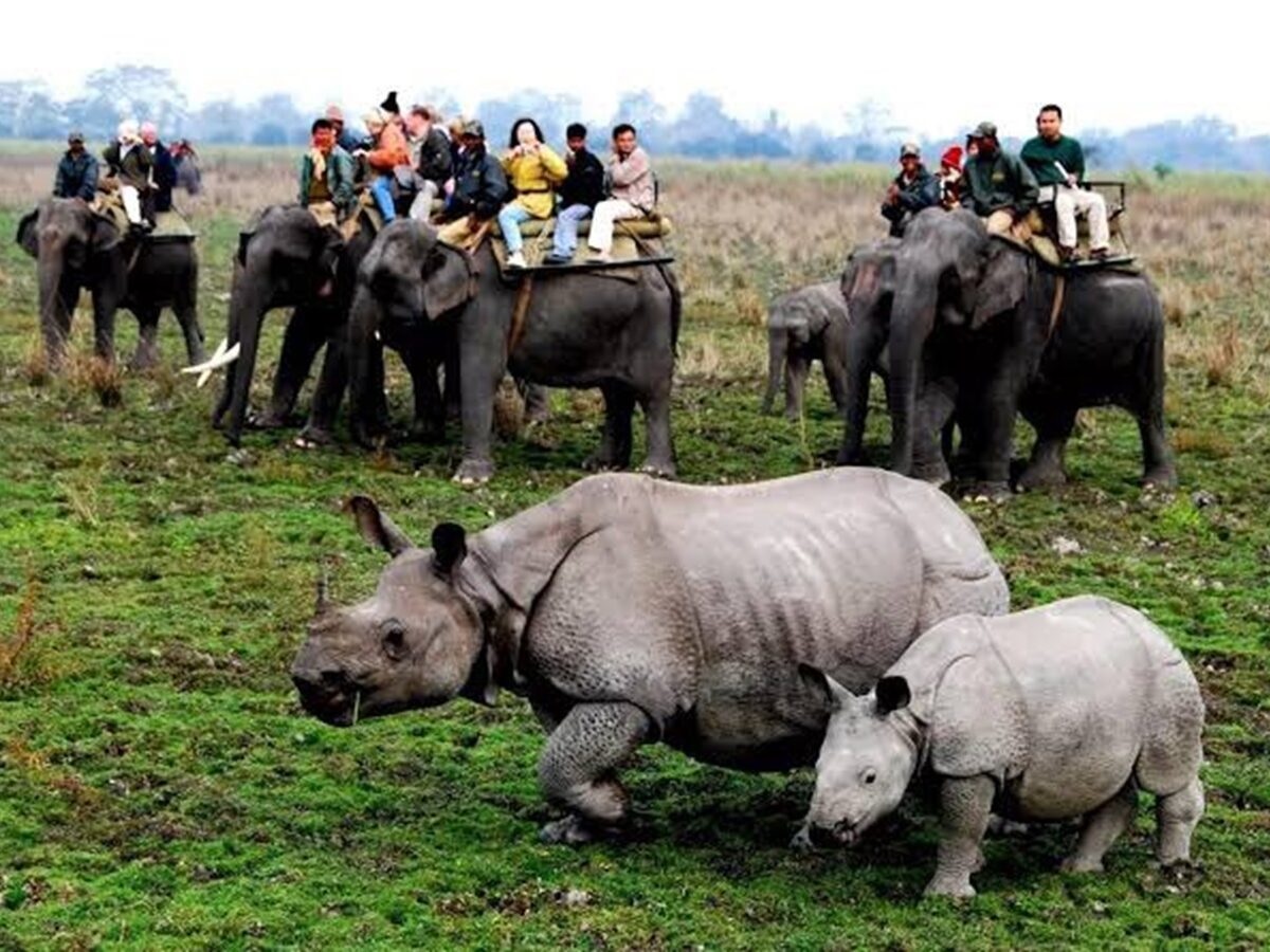 Kaziranga, Assam