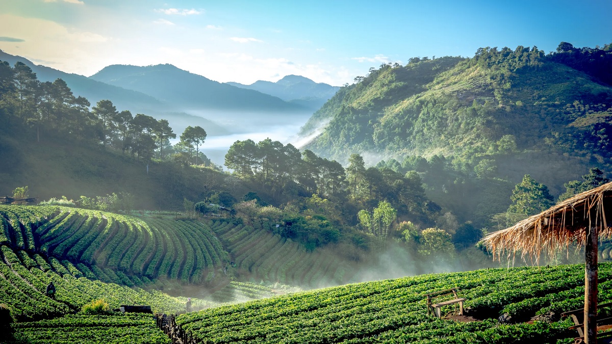 Chiang Mai en tailandia